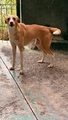 NATY Image 1